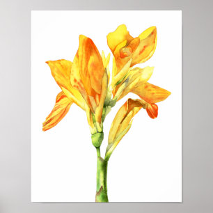 Poster Peinture jaune d'aquarelle de fleur, beaux-arts