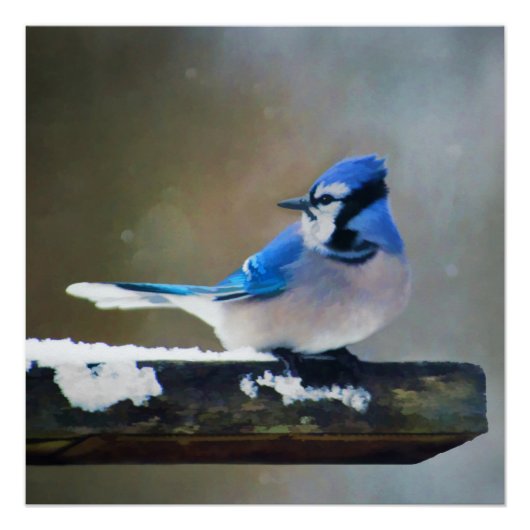 Poster Peinture Jay Bleu - Art Oiseau Original (Devant)