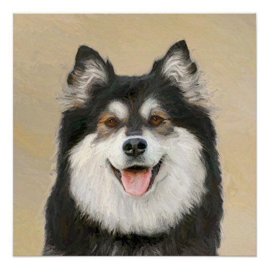 Poster Peinture Lapphund Finlandaise - Joli art original  (Devant)