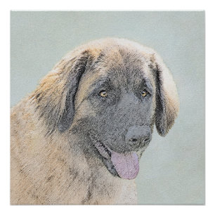 Poster Peinture Leonberger - Joli art original chien