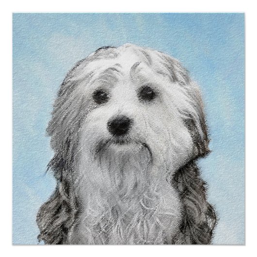 Poster Peinture Lowchen - Cute Original Chien Art (Devant)