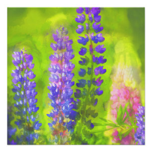 Poster Peinture Lupine - Art Fleur Original