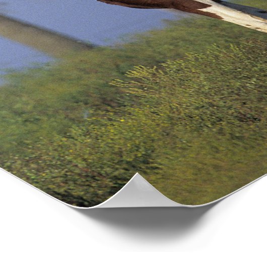 Poster Peinture Mare & Foie (Coin)