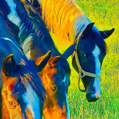 Poster peinture murale