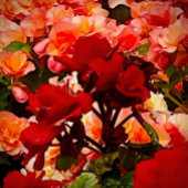 Poster peinture murale