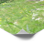 Poster Peinture noir et blanc pivoine en herbe et fleurs (Coin)