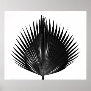 Poster Peinture noire Plante de feuille de palme