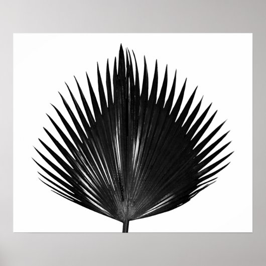 Poster Peinture noire Plante de feuille de palme (Devant)