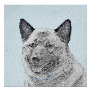Poster Peinture norvégienne Elkhound - Art original Chien