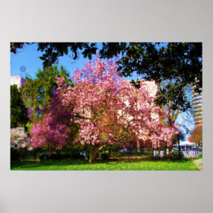 Poster Peinture numérique d'art de l'arbre Magnolia