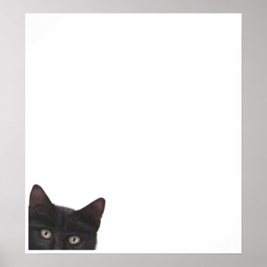 Poster Peinture numérique de chatte curieuse (Devant)