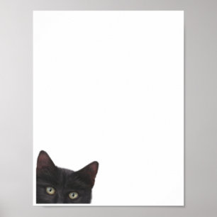 Poster Peinture numérique de Kitty curieuse