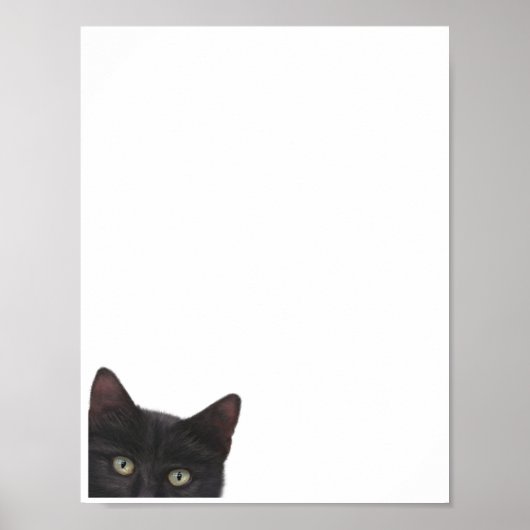 Poster Peinture numérique de Kitty curieuse (Devant)