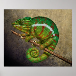 Poster Peinture numérique Panther Chameleon