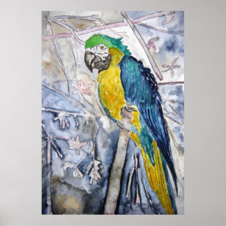 Poster peinture_oiseau_perroquet