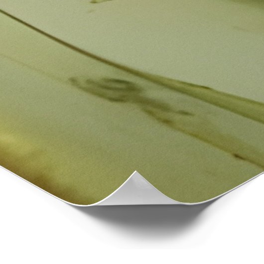 Poster Peinture Pagan Femme (Coin)