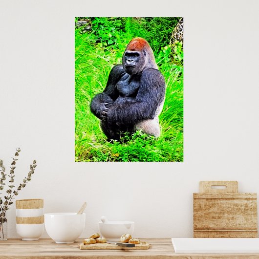Poster Peinture photo de Gorilla Silverback (Cuisine)