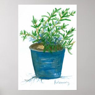 Poster Peinture Plante d'aquarelle Rosemary
