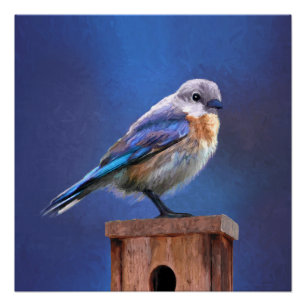 Poster Peinture pour oiseaux bleus (femelle) - Art origin