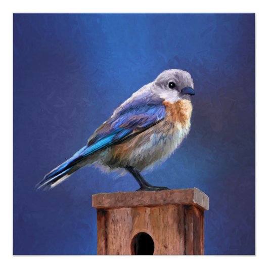 Poster Peinture pour oiseaux bleus (femelle) - Art origin (Devant)