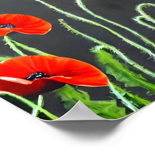Poster Peinture Red Poppies Art (Coin)