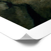 Poster Peinture rocheuse d'un taureau noir, c.17000 av. J (Coin)