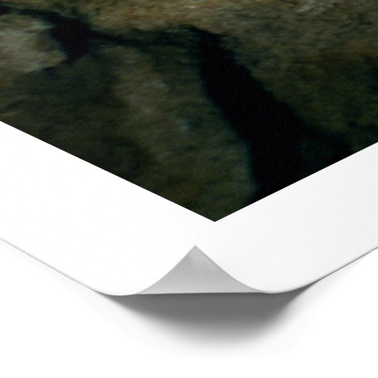 Poster Peinture rocheuse d'un taureau noir, c.17000 av. J (Coin)