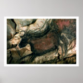 Poster Peinture rocheuse d'un taureau noir, c.17000 av. J (Devant)