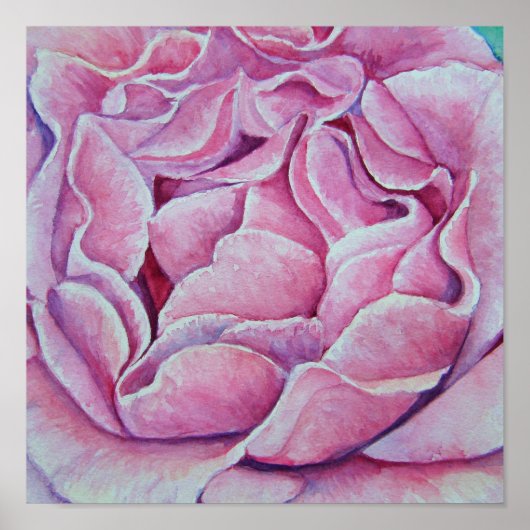 Poster Peinture Rose aquarelle de Pam Utton (Devant)
