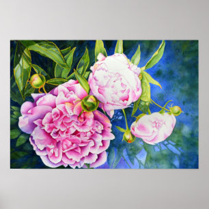 Poster Peinture rose blanc romantique floral
