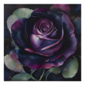 Poster Peinture Rose violet vive (Devant)