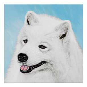 Poster Peinture Samoyed - Cute Original Chien Art