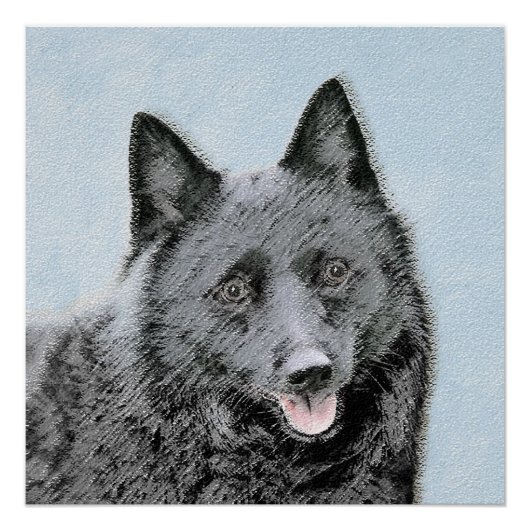 Poster Peinture Schipperke - Cute Original Chien Art (Devant)