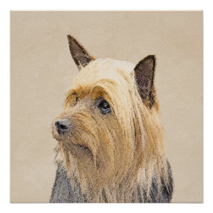 Poster Peinture Silky Terrier - Cute Original Chien Art