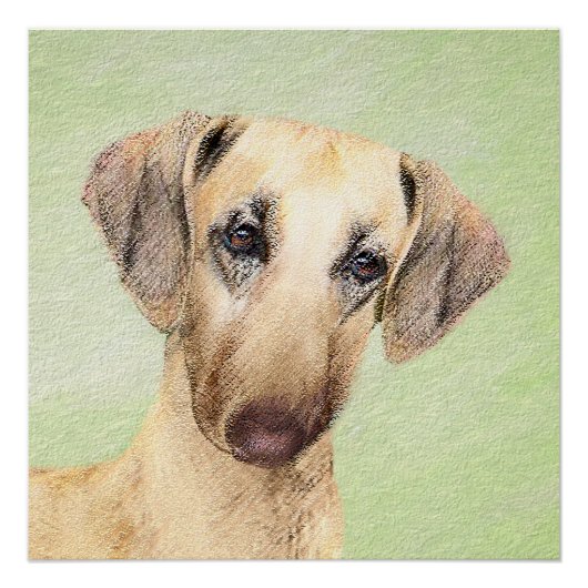 Poster Peinture Sloughis - Joli art original pour chien (Devant)