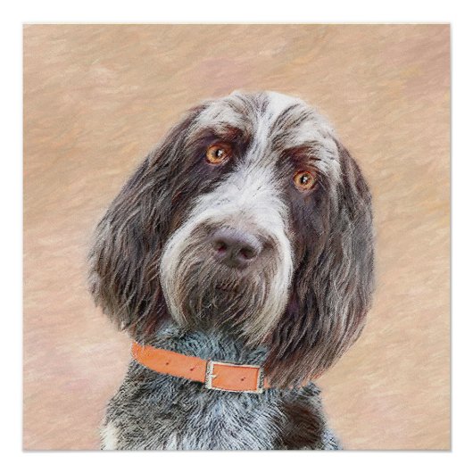 Poster Peinture Spinone Italiano - Belle Art Original Chi (Devant)