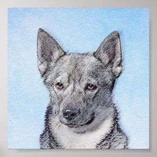 Poster Peinture Suédoise Vallhund - Cute Original Chien A
