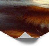 Poster Peinture vintage de berger australien (Coin)