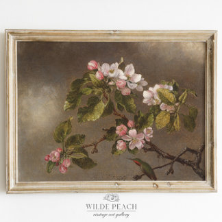 Poster Peinture Vintage de colibri et de fleurs de pomme