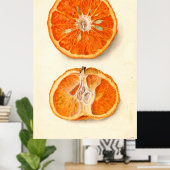 Poster Peinture vintage de Tangerines (Bureau à domicile)