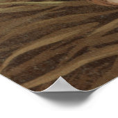 Poster Peinture vintage de truite de ruisseau capturé (18 (Coin)