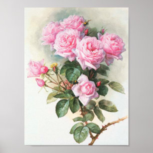 Poster Peinture vintage rose Roses