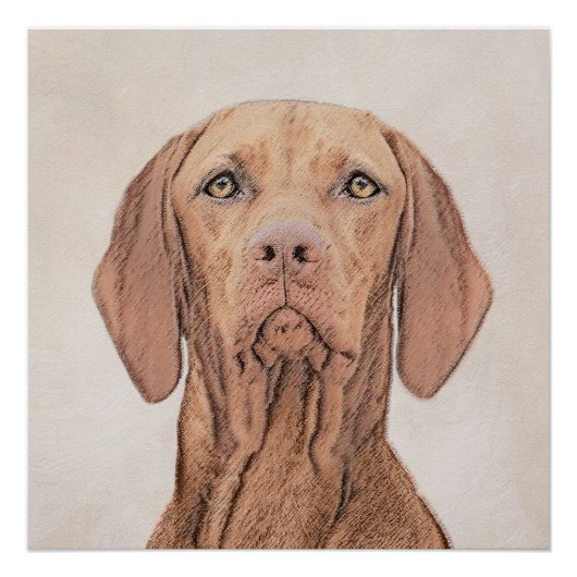 Poster Peinture Vizsla - Joli art original chien (Devant)