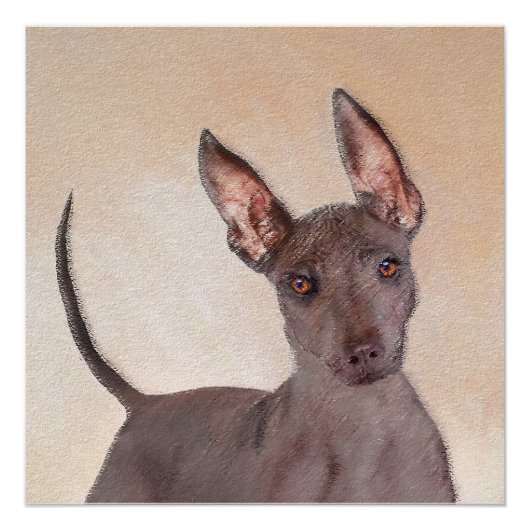 Poster Peinture Xoloitzcuintli - Cute Original Chien Art (Devant)