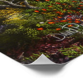 Poster Peintures à l'huile Eden (Coin)