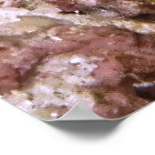 Poster Pékin (Coin)