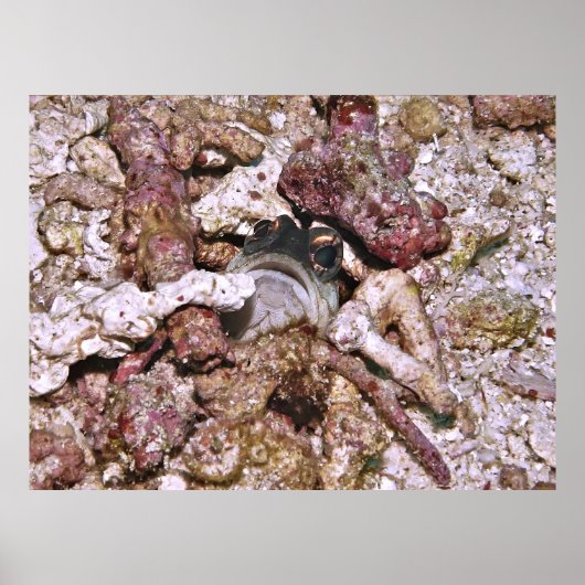 Poster Pékin (Devant)