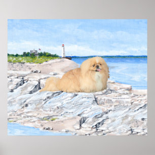 Poster Pékingais au phare