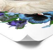 Poster Pekingese blanc avec lunettes (Coin)