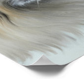 Poster Pekingese pensif (Coin)